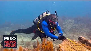 Black scuba divers explore the wreckage of slave ships and the 'untold American story'