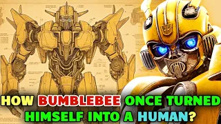 Bumblebee Anatomy Explored - How Bumblebee Transformed Into A Human? Does He Have A Soul?