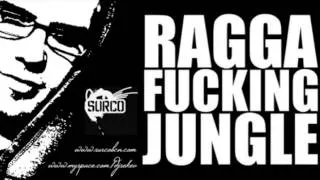 Sekev - Ragga Fuking Jungle Vol.1