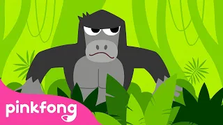 Die Dschungelwäscherei | Tierlieder | Baby Shark Deutsch | Pinkfong Kinderlieder