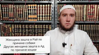 Женщина зашла в Рай по причине собаки. Другая женщина зашла в Ад по причине кошки