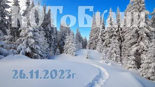 КОТоБудни, 26 ноября 2023г.: Прогулка по лесу и Чай у самовара с вареньем  |  Life in Russia