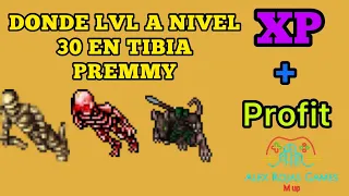 DONDE LVL A NIVEL 30 | PREMMY | TODAS LAS VOCACIONES | TIBIA