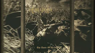 Nokturnal Mortum - As The Steel Eagle Into Golden Swarga