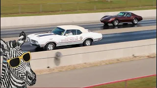 1974 Corvette vs 1970 Olds Pace Car | Pure STOCK DRAG RACE | CARS AND ZEBRAS