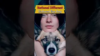 National Different Colored Eyes Day | July12th | Heterochromia | #shortsvideo