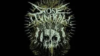 Rose Funeral -  God hand killer(Demo 2008)