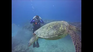 Charlotte Thompson Diving The Sea Tiger shipwreck