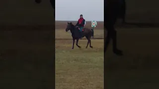 Аламан бәйге  100 шақырым 2019 Борсы- Жәнібек