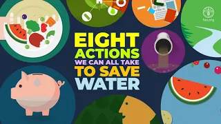 Eight actions we can all take to save water – World Food Day 2023