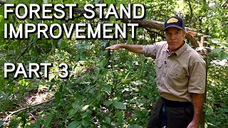 Forest Stand Improvement With Dr. Craig Harper LIVE SEMINAR | PART 3