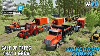 Selling the trees thet I grew, buying shipyard and sheep | Silverrun Forest | FS 22 | Timelapse #10