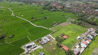 1100m2 Amazing Land With Ricefield View In Next Prime Area Nyanyi