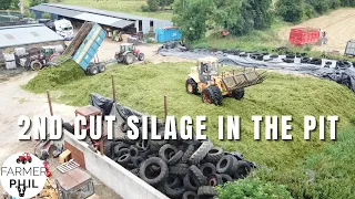 THE CHERRY ON TOP | 2ND CUT SILAGE