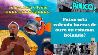 NEM A GAROUPA RESOLVE MAIS? FUZIL INVESTIGA O AUMENTO DO PREÇO DO PEIXE