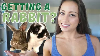 5 Things To Know BEFORE You Adopt A Rabbit | A brief beginner’s guide