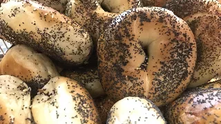 Are New York City's Best Bagels in Staten Island's Heartland?