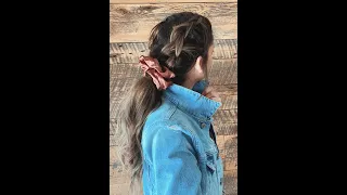 Double Dinosaur Braid into ponytail