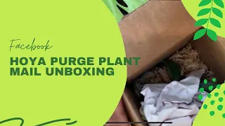 Facebook Hoya Purge Plant Mail Unboxing