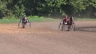 В Курске прошли конные соревнования на призы губернатора