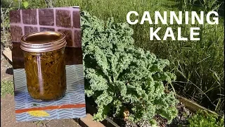 Canning Kale