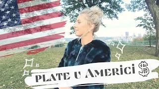 Kolike su Plate u Americi? | Zarada, Takse i Troškovi Života