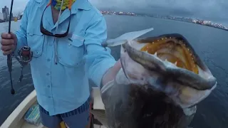 GIANT FISH caught Fishing Durban Harbour