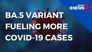 BA.5 variant behind rising COVID-19 cases