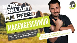 MAGENGESCHWÜRE - Symptome, Diagnose und Behandlung. Kurz erklärt am Pferd!