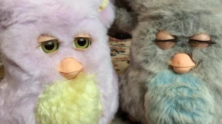 funny furbies: furby 2005 & furby 2006