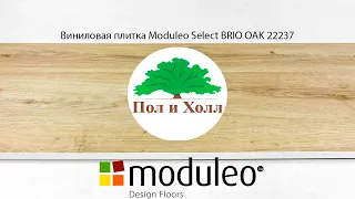 Виниловая плитка Moduleo Select BRIO OAK 22237