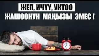 Жеп, ичүү, уктоо - жашоонун маңызы эмес / Шыктандырчу насаат