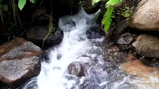 Calming water sounds for stress relief | River sound for sleep relaxing & stress relief #riversounds