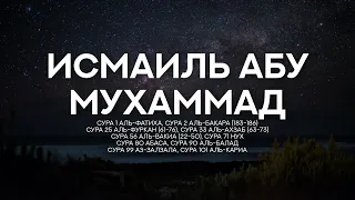 Исмаиль абу Мухаммад. Красивое чтение Корана. Подборка разных Сур (с переводом, субтитрами)