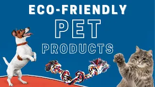 Top Eco-Friendly Pet Products of 2022