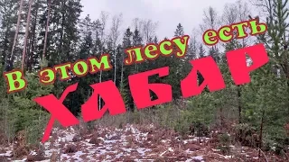 НАШЛИ НЕ ТРОНУТЫЙ НЕМЕЦКИЙ БЛИНДАЖ И СУПЕР НАХОДКУ