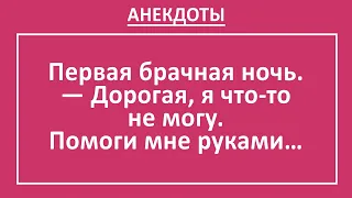 Анекдоты смешные до слез! Юмор, смех! Молодожены, первая брачная ночь... Веселые анекдоты выпуск 4