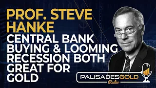 Prof. Steve Hanke: Central Bank Buying & Looming Recession Both Great for Gold