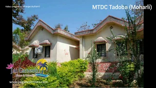 MTDC Tadoba | Moharli Gate