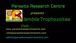 Parasite Research Centre