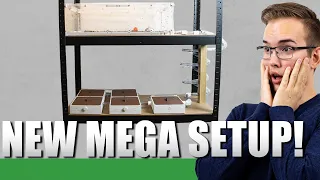 NEW MEGA SETUP!!! | Messor Barbarus Update #2 - Ant Holleufer