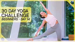Day 14 — 30 Days of Yoga for Complete Beginners