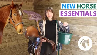 What To Buy For Your First Horse!