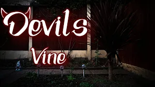 Devils Vine -  Short Halloween Horror Film