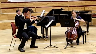 Mendelssohn Piano Trio in D minor I mov. finale