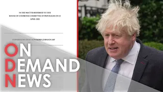 Boris Johnson's Partygate Dossier EXPLAINED