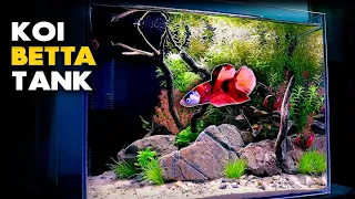 Aquascape Tutorial: Koi Betta Nano Aquarium (how to: step by step planted tank guide)