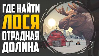 ГДЕ НАЙТИ ЛОСЯ (ОТРАДНАЯ ДОЛИНА) | THE LONG DARK