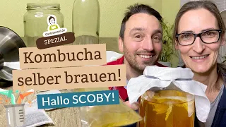 SCOBY zieht ein! So setzt du Kombucha an | Kombucha selber brauen - Teil 1