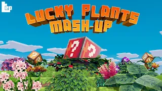 Lucky Plants Mash-up